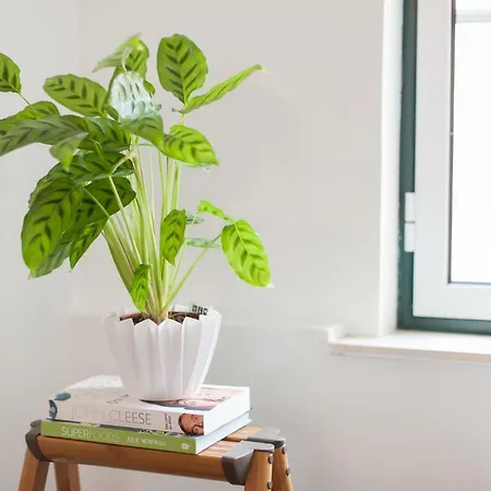 Lejlighed Martim Moniz - By Lu Holidays *